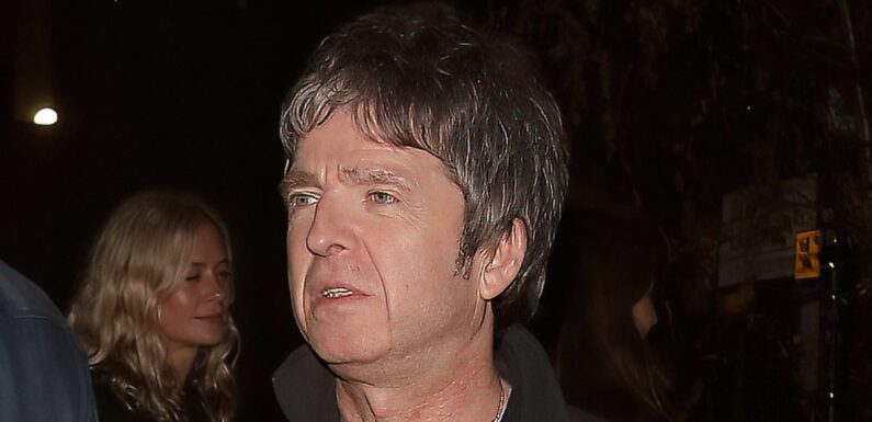 Noel Gallagher enjoys drinks with estate agent Serena McGivern