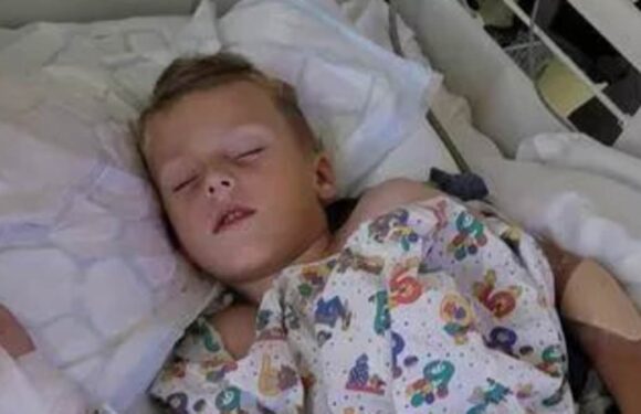 Schoolboy, five, 'lucky to be alive' after being mauled by dog