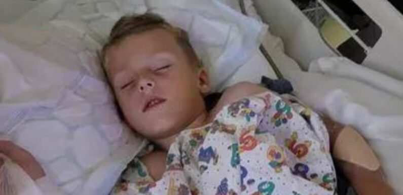 Schoolboy, five, 'lucky to be alive' after being mauled by dog