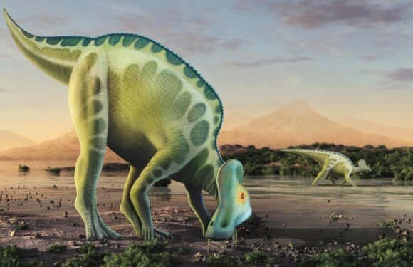 Spectacular fossil site shines light on the twilight of the dinosaurs