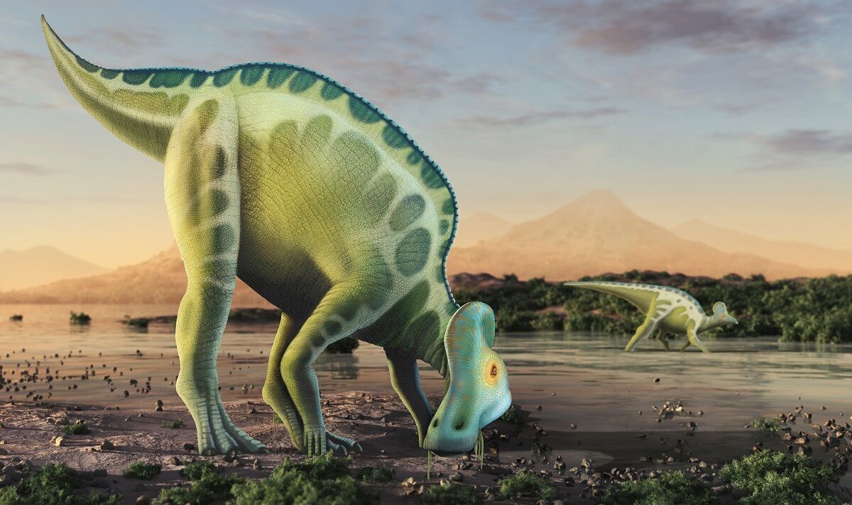 Spectacular fossil site shines light on the twilight of the dinosaurs