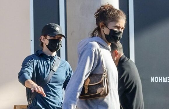 Zendaya and beau Tom Holland stock up on groceries in LA