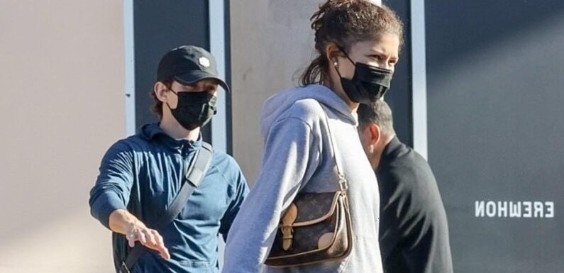 Zendaya and beau Tom Holland stock up on groceries in LA