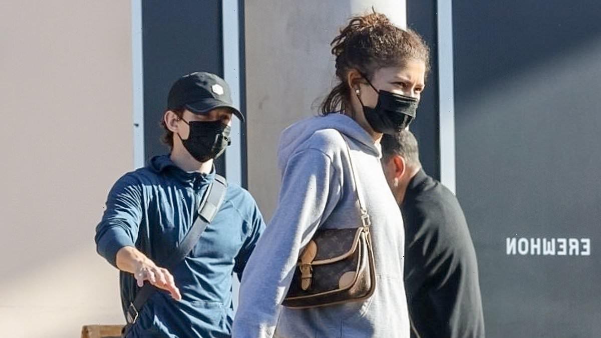 Zendaya and beau Tom Holland stock up on groceries in LA