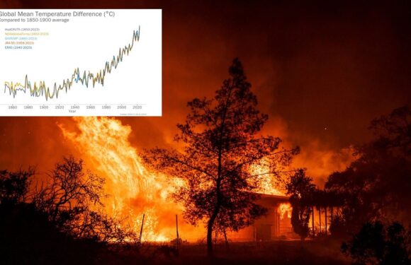 2023 is 'virtually certain' to be the hottest year in HISTORY