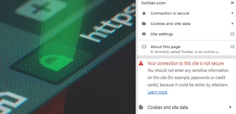 95% of Brits have no idea what internet browser icon is – so do you?