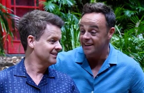 Ant and Dec give tongue in cheek tour of basic camp in Australia
