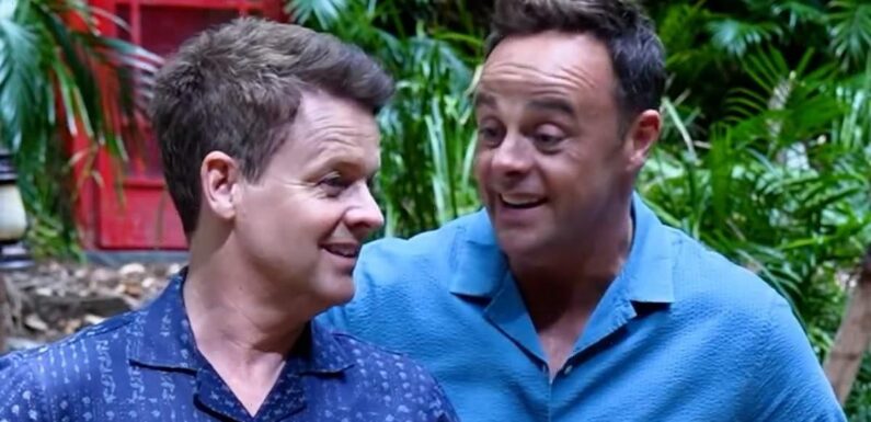 Ant and Dec give tongue in cheek tour of basic camp in Australia