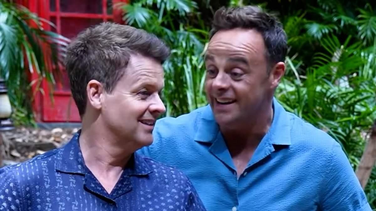 Ant and Dec give tongue in cheek tour of basic camp in Australia