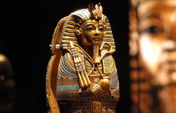 Archaeologists’ ‘incredibly rare’ discovery inside Tutankhamun’s tomb