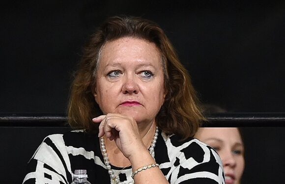 Australia's richest person Gina Rinehart unleashes on Mark Zuckerberg