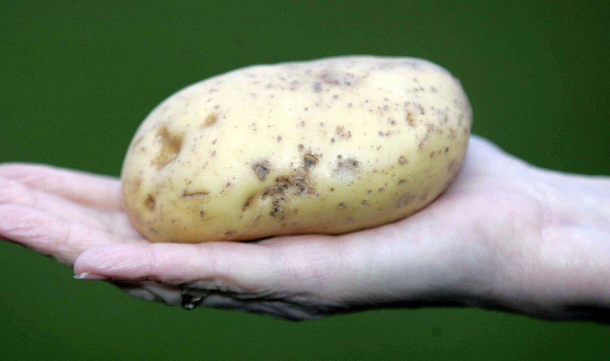 Big Man, Ginge, and Spud are most common nicknames given to Brits, study finds
