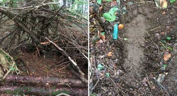 ‘Bigfoot in Wales’ as experts discover 16-inch prints and hidden woodland lair