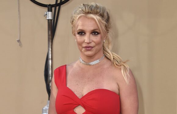 Britney Spears SLAMS the documentaries made about her conservatorship