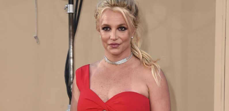 Britney Spears SLAMS the documentaries made about her conservatorship