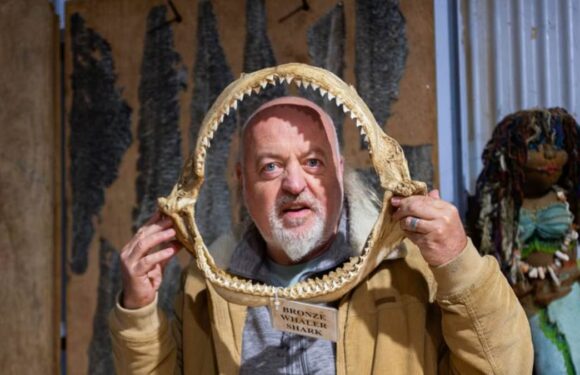 CHRISTOPHER STEVENS reviews Bill Bailey's Australian Adventure
