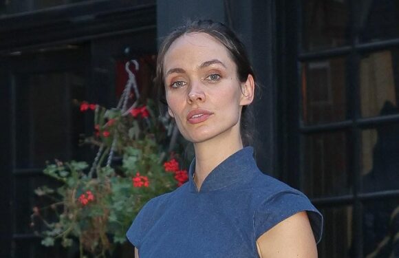 David Cameron's brother-in-law splits from partner