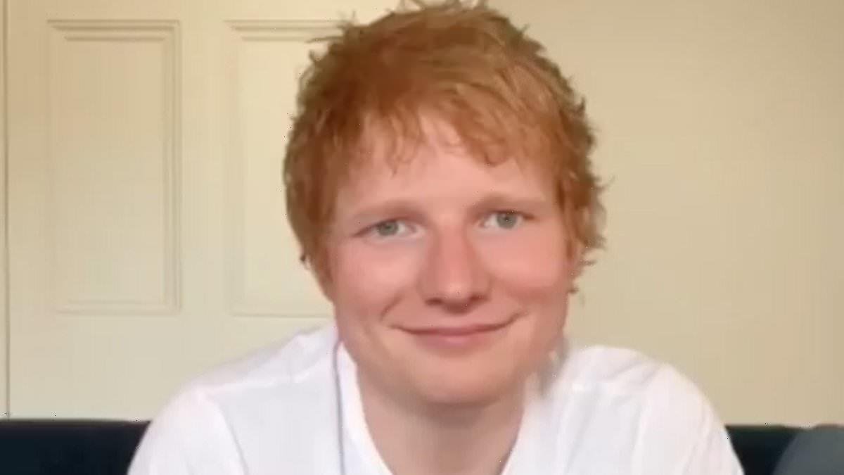 Ed Sheeran flogs his old cat hair-covered clothes for charity