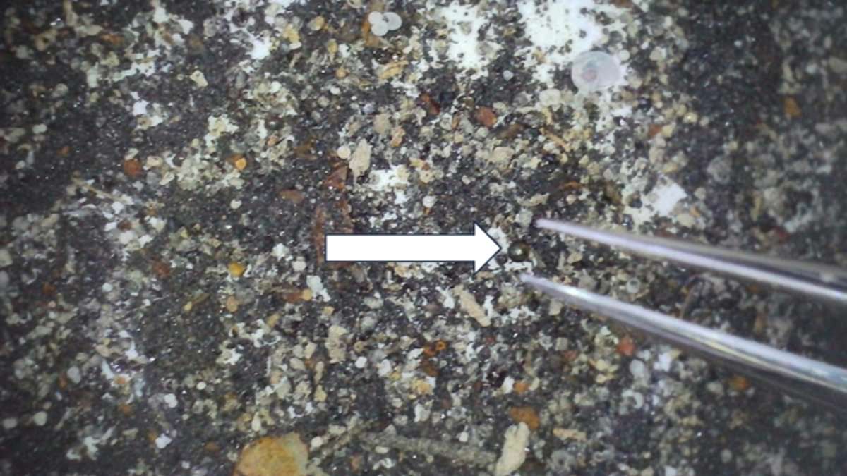 First 'alien' objects on Earth? Experts reveal what metal spheres are