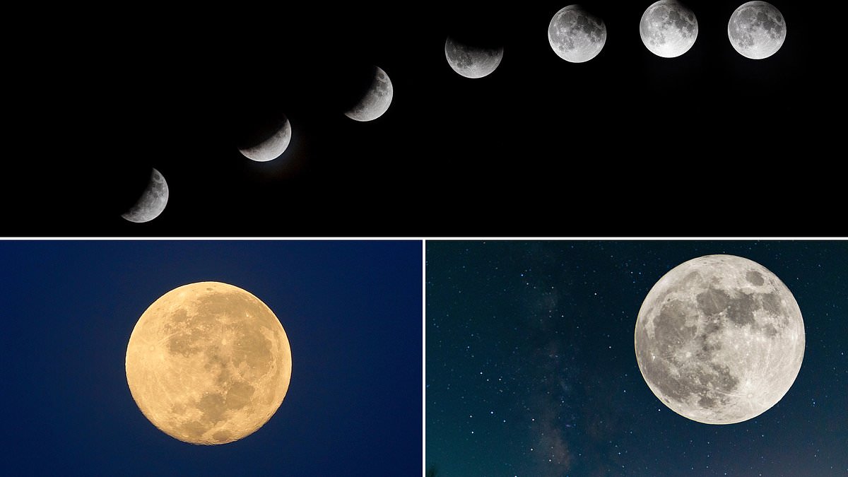 Full Beaver Moon will appear tonight – best time to see it from the UK