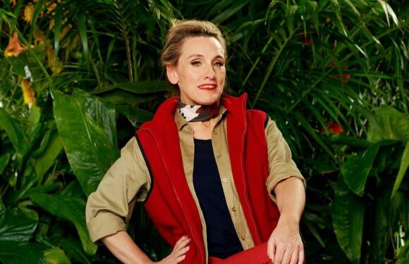 I'm A Celeb's Grace Dent made jokes about Nigel Farage's plane crash