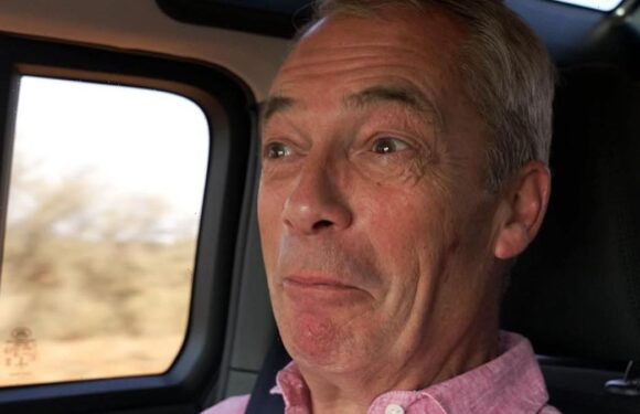 I'm A Celeb's Josie Gibson makes cheeky Brexit joke to Nigel Farage