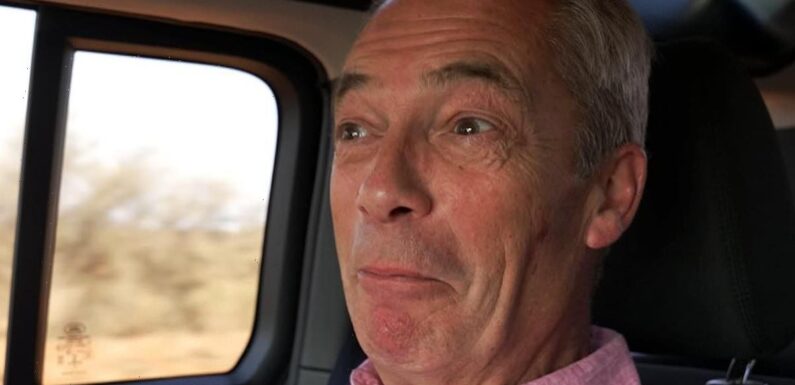 I'm A Celeb's Josie Gibson makes cheeky Brexit joke to Nigel Farage