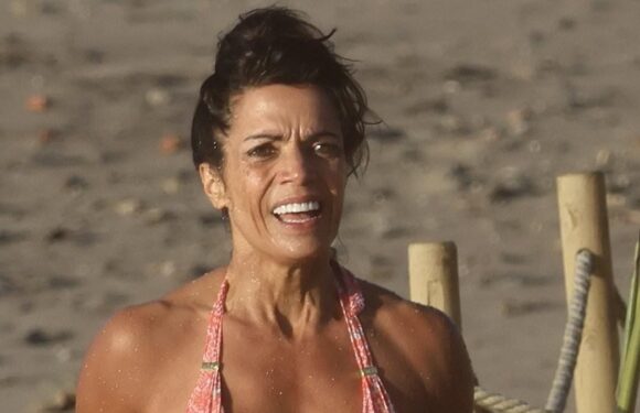 Jenny Powell, 55, shows off her incredible figure in a pink bikini
