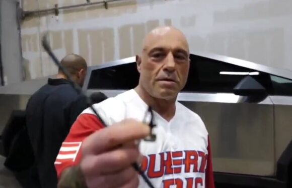 Joe Rogan loses bet to Elon Musk: Claimed arrow could smash Cybertruck