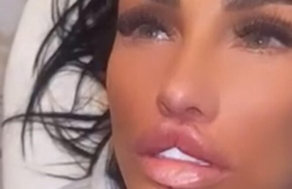 Katie Price shows off her 'massive' brand new lips and bum