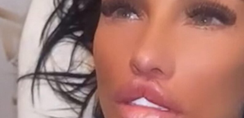 Katie Price shows off her 'massive' brand new lips and bum