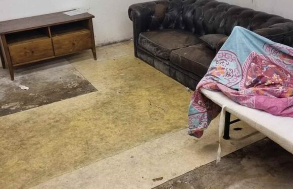 Landlord advertises mould-infested one bed London flat £700 a month