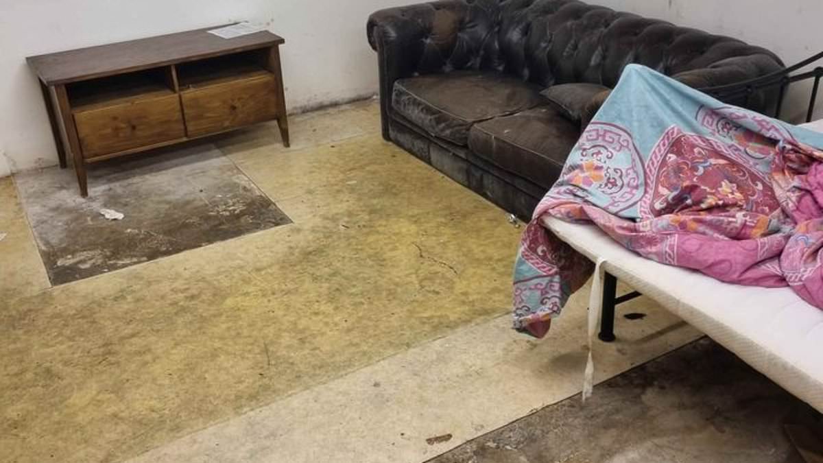 Landlord advertises mould-infested one bed London flat £700 a month