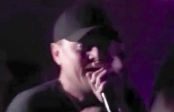 Leonardo DiCaprio RAPS in front of A-list crowd at LA birthday party