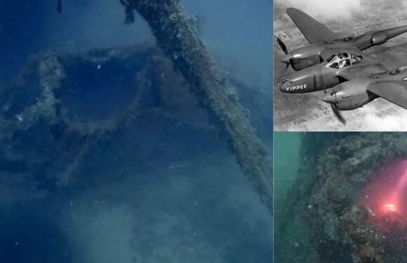Missing WWII fighter plane is FOUND after 80 years