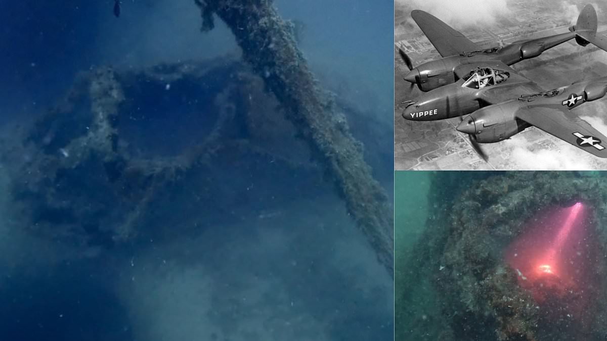 Missing WWII fighter plane is FOUND after 80 years