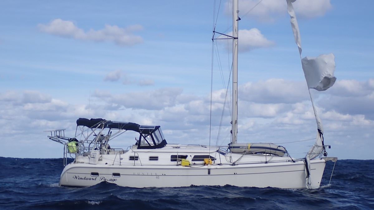 Missing sailor found alive two weeks after sailing from NJ to Bermuda