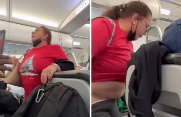 Moment plane passenger pulls down her pants after being denied toilet access