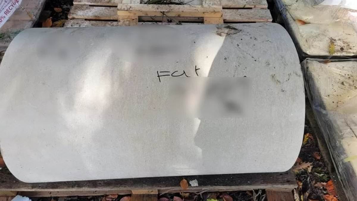 Nelson Mandela memoria is vandalised in 'hate crime' attack