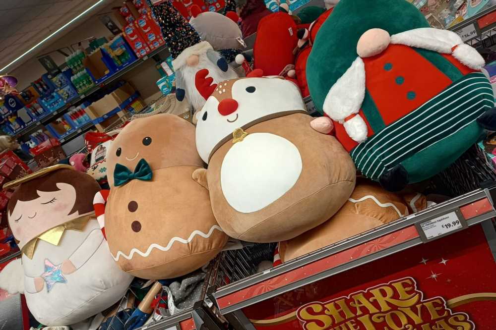 Parents scramble to nab Aldi’s new Squishees – if your little one loves Squishmallows you'll need to run | The Sun