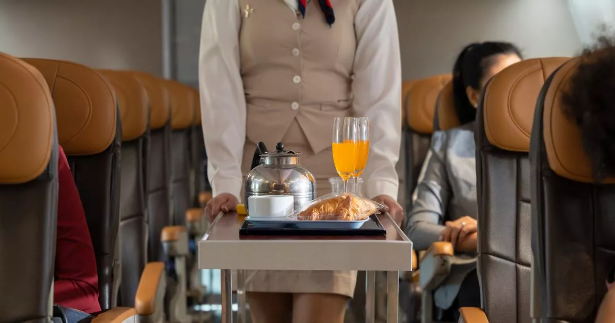 Passengers poke fun at airline as customers served ‘dog food’ in blunder