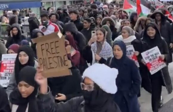 Schoolkids join London march chanting 'Israel is a terrorist state'