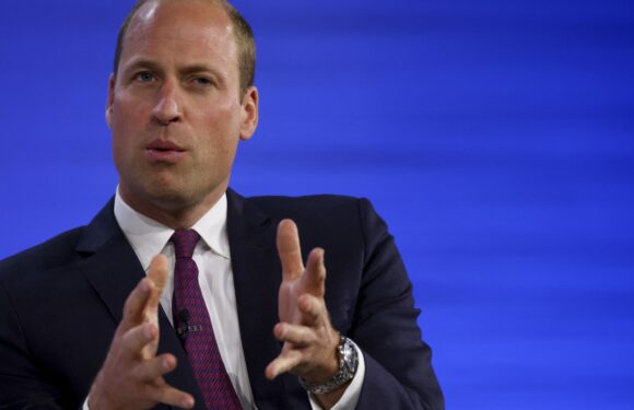 Scobie: Prince William whines about the Sussexes’ ‘oh so California self-importance’