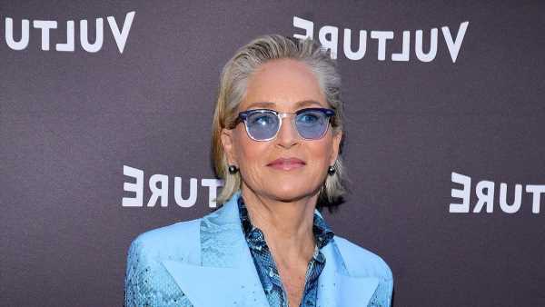 Sharon Stone says not to 'support violence' amid Israel-Hamas conflict