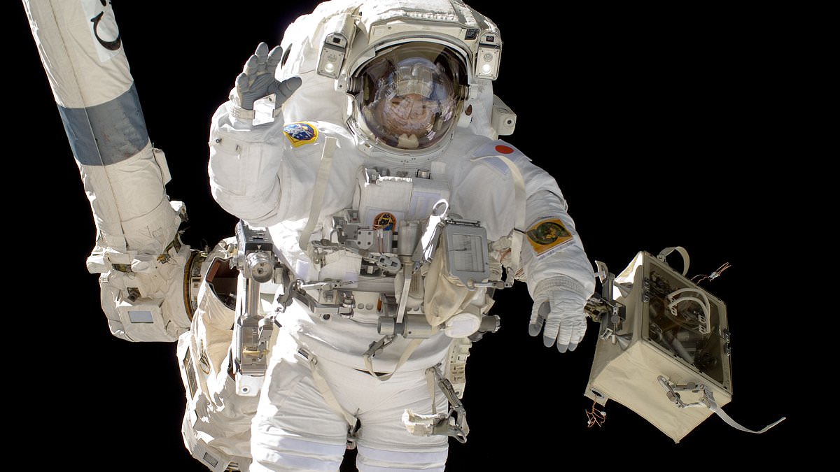Spaceflight increases men's risk of erectile dysfunction, study finds