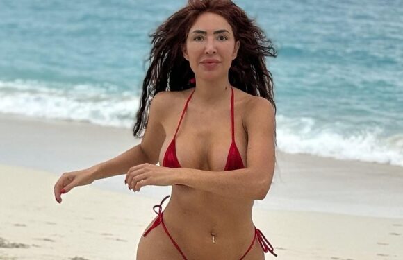 Teen Mom star Farrah Abraham, 32, shows off her toned figure