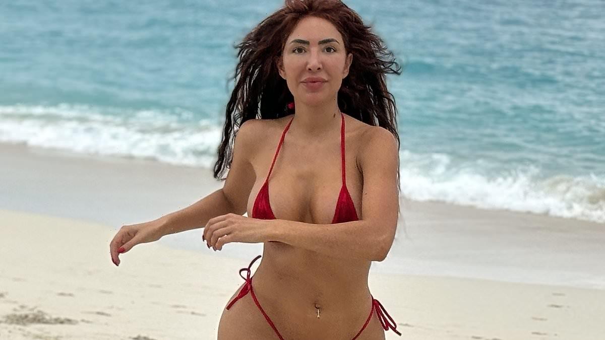 Teen Mom star Farrah Abraham, 32, shows off her toned figure