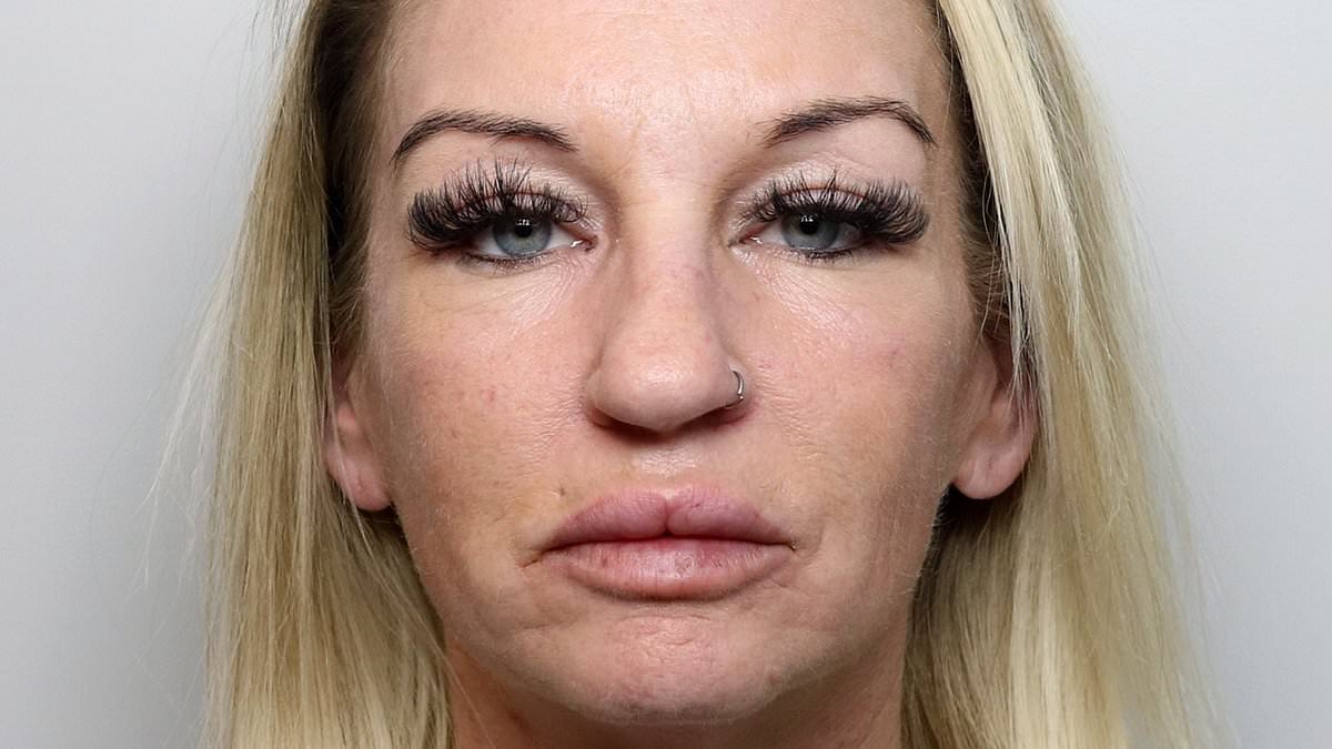 40-year-old grandmother who messaged 73 drug users daily is jailed