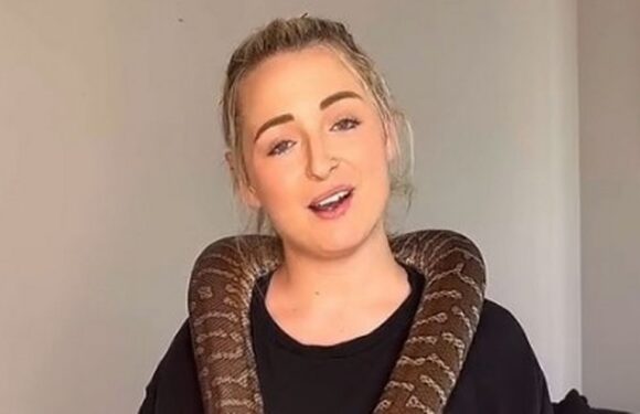Adult star’s pet python, Betty bites partner’s todger after steamy session
