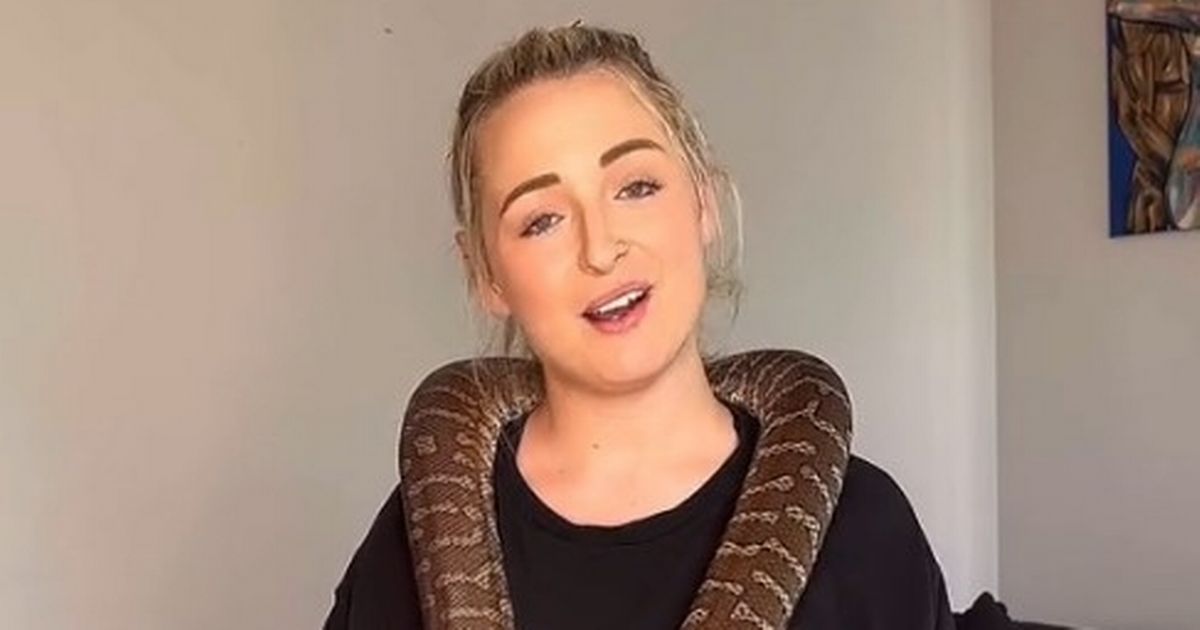 Adult star’s pet python, Betty bites partner’s todger after steamy session